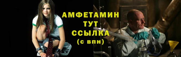 молекула духа Белокуриха