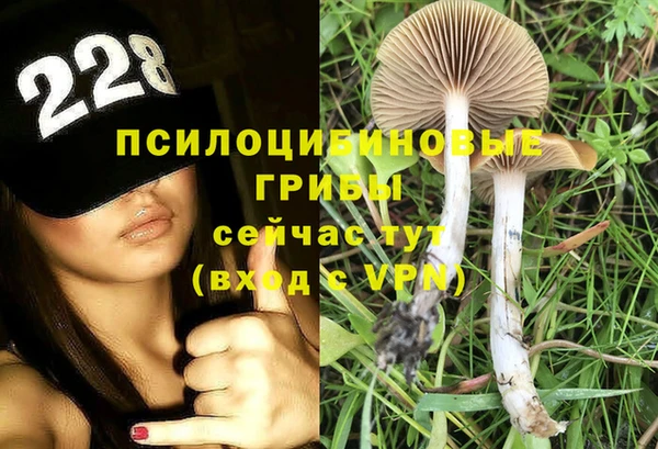 меф Ростов
