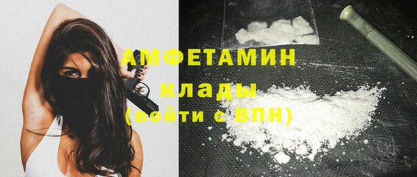 молекула духа Белокуриха